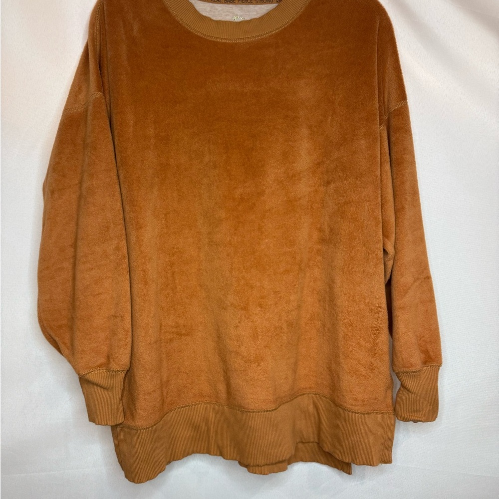 Aerie Tan Plush Sweatshirt Hoodie